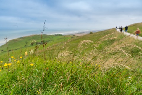 Cap Blanc-Nez (Pas-de-Calais)