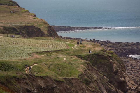 Cap Blanc-Nez (Pas-de-Calais)