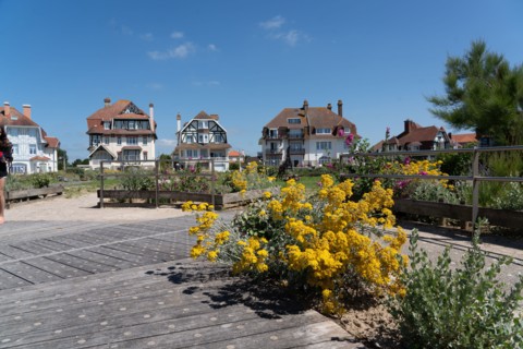 Hardelot-Plage (Pas-de-Calais)