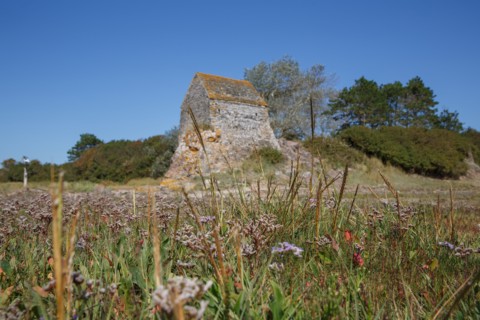 Saint-Germain-sur-Ay (Manche)