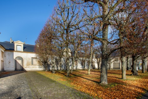 Château de Sceaux (Hauts-de-Seine), anciennes écuries