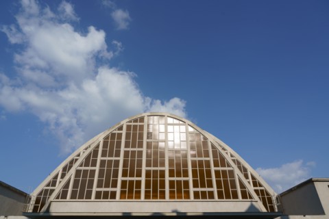 Halles du Boulingrin in Reims (covered market)