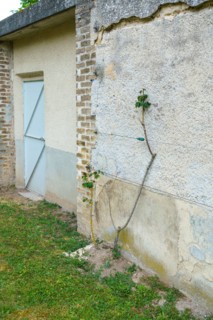 Reims, Foujita chapel