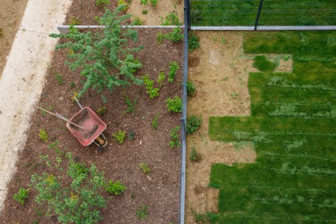 Montigny les Cormeilles, gardening, lawn