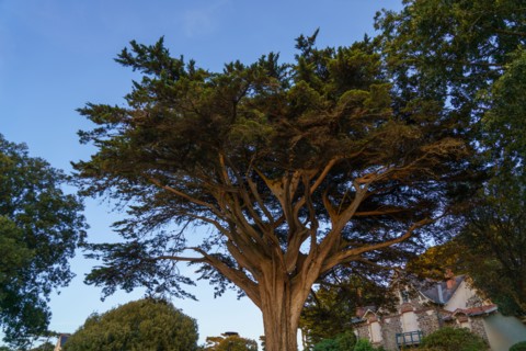 Pornic, Loire-Atlantique