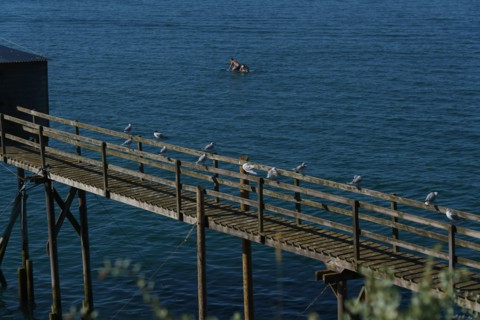 Pornic, Loire-Atlantique