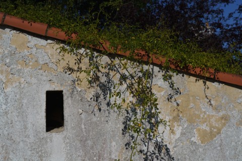 Pornic, Loire-Atlantique