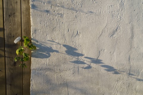 Pornic, Loire-Atlantique