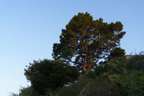 Pornic, Loire-Atlantique