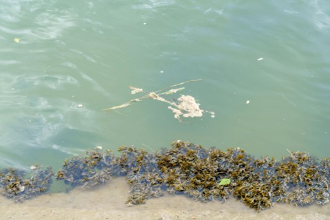 Pollution in Deauville