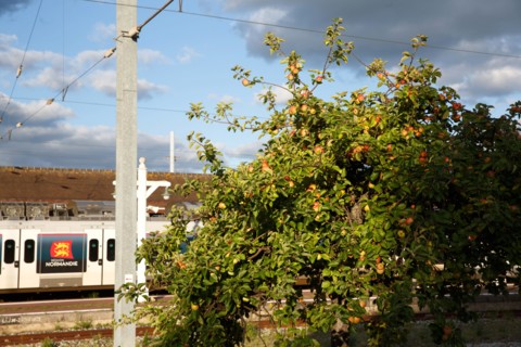 Deauville-Trouville railway station, Calvados