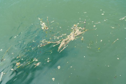 Pollution in Deauville