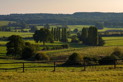 Landscape of the Orne region