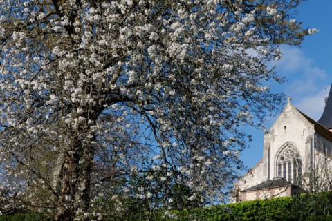 Beaumont-en-Auge, Calvados