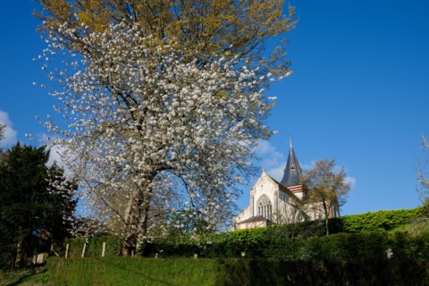 Beaumont-en-Auge, Calvados