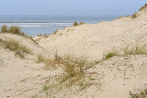 Camiers, Pas-de-Calais