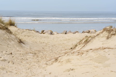 Camiers, Pas-de-Calais