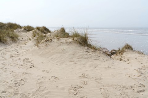 Camiers, Pas-de-Calais
