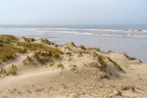 Camiers, Pas-de-Calais