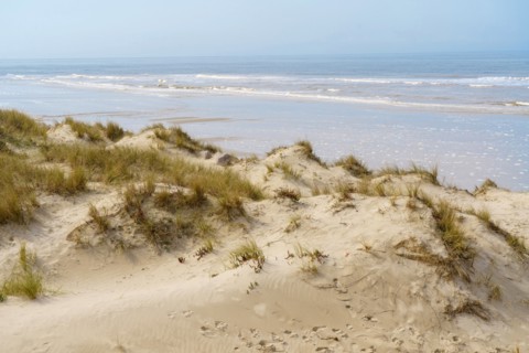 Camiers, Pas-de-Calais