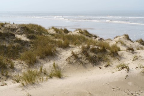 Camiers, Pas-de-Calais