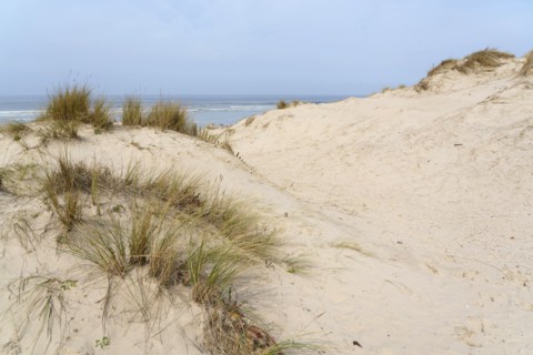 Camiers, Pas-de-Calais
