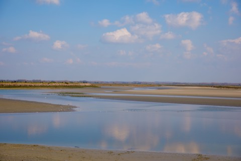 Le Crotoy, Somme