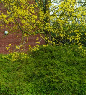 Saint-Valery-sur-Somme, Somme