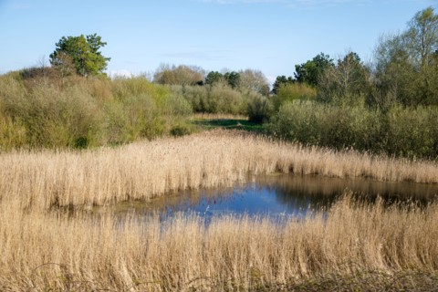 Saint-Valery-sur-Somme, Somme