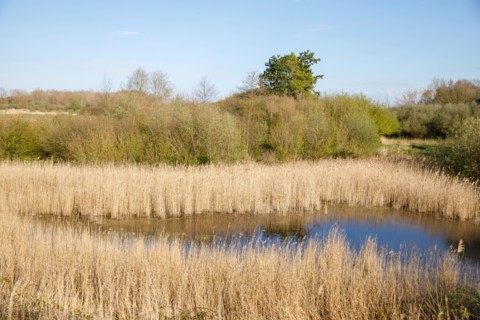 Saint-Valery-sur-Somme, Somme