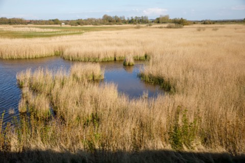 Saint-Valery-sur-Somme, Somme
