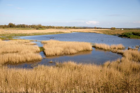 Saint-Valery-sur-Somme, Somme