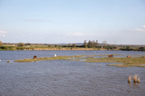 Saint-Valery-sur-Somme, Somme