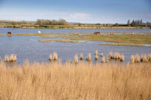 Saint-Valery-sur-Somme, Somme