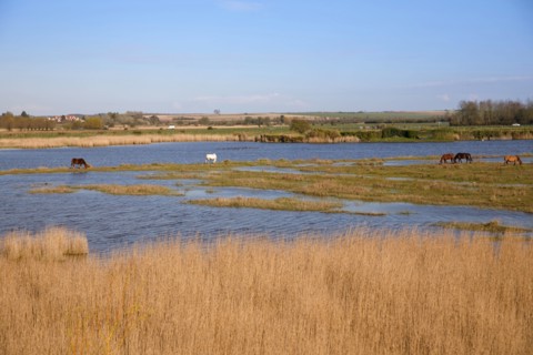 Saint-Valery-sur-Somme, Somme