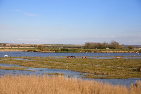 Saint-Valery-sur-Somme, Somme