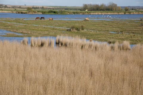 Saint-Valery-sur-Somme, Somme