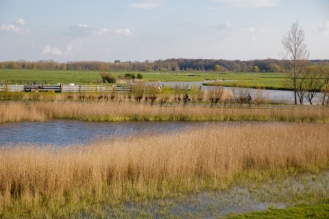 Saint-Valery-sur-Somme, Somme