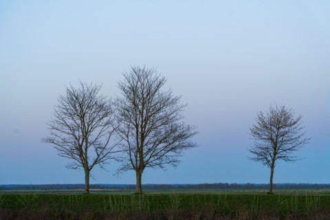 Saint-Valery-sur-Somme, Somme