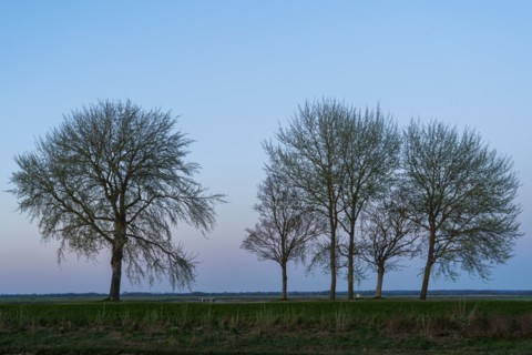 Saint-Valery-sur-Somme, Somme