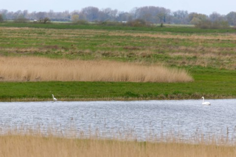 Saint-Valery-sur-Somme, Somme