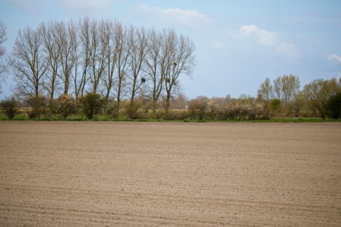 Landscape between Le Crotoy and Saint-Valery-sur-Somme