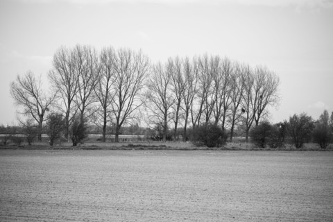 Landscape between Le Crotoy and Saint-Valery-sur-Somme