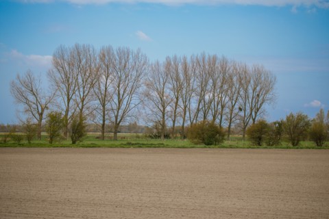 Landscape between Le Crotoy and Saint-Valery-sur-Somme