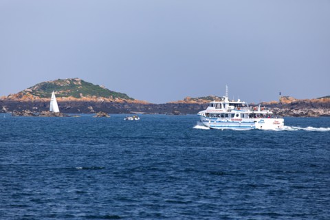 Iles Chausey, Manche