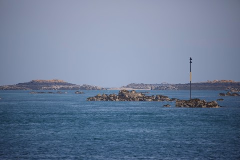 Iles Chausey, Manche