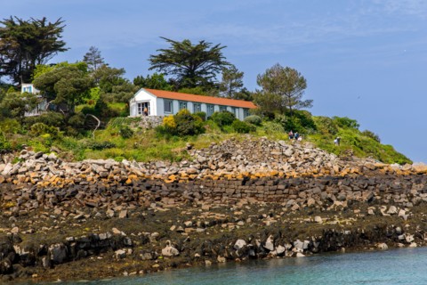 Iles Chausey, Manche