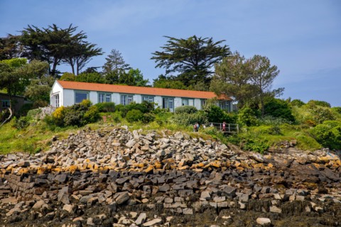 Iles Chausey, Manche