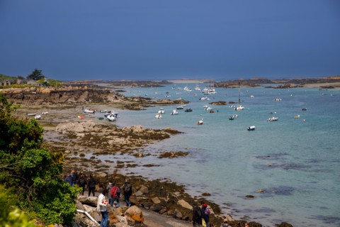 Iles Chausey, Manche