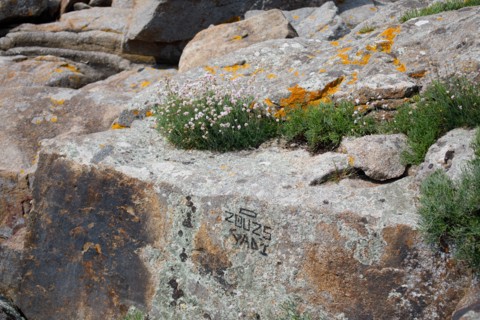 Iles Chausey, Manche